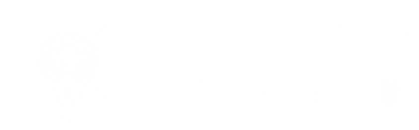 ООО Цифровые решения